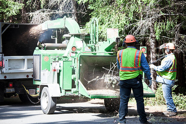 Seasonal Cleanup (Spring/Fall) in Chualar, CA